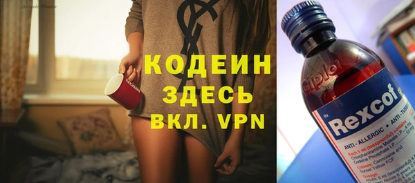 шишки Баксан