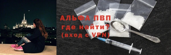 шишки Баксан