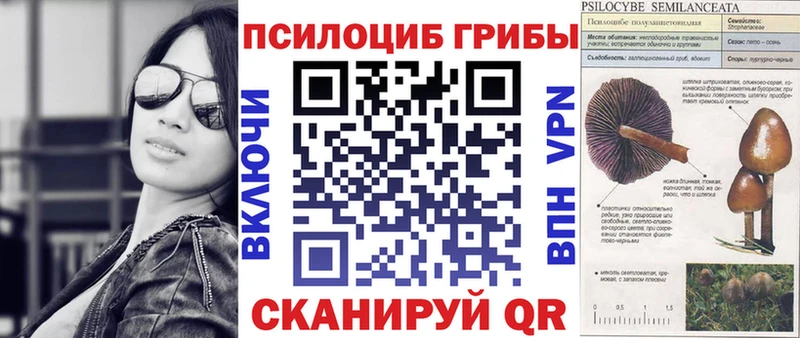 Псилоцибиновые грибы Cubensis MEGA Бежецк купить сайты